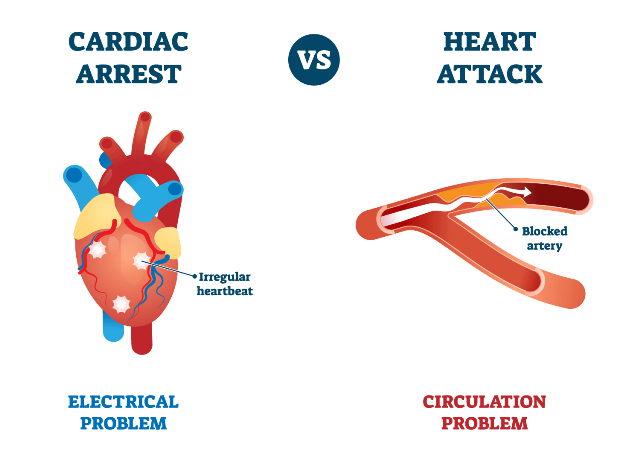 Heart Condition Cardiac arrest and heart attack are two serious medical emergency conditions that affect the heart.