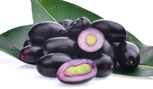 Jamun is such a tree that has medicine in every part. Apart from being tasty, it is very beneficial for health. If a thick piece of wood of Jamun is kept in the water tank, then algae, green moss will not freeze in the tank and the water will not rot.