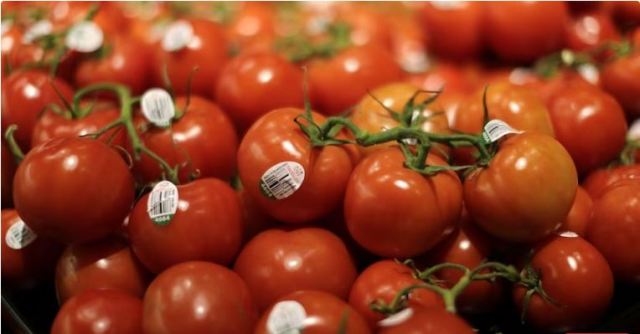 Tomato Price Hike In the midst of a sharp jump in tomato prices across the country, the Modi government directed its agencies - NAFED and NCC to immediately purchase tomatoes from the mandis of major producing states like Andhra Pradesh, Karnataka and Maharashtra. Have given.