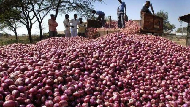 Modi government (Modi Govt.) today announced that it will immediately release onions from its buffer stock in some areas so that prices remain under control from October till the new crop arrives.